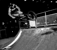 whip_in_mont