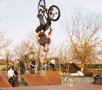waynemagsflips