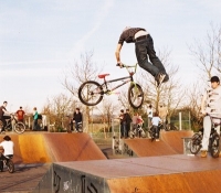 waynemagswhips