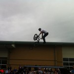 whip