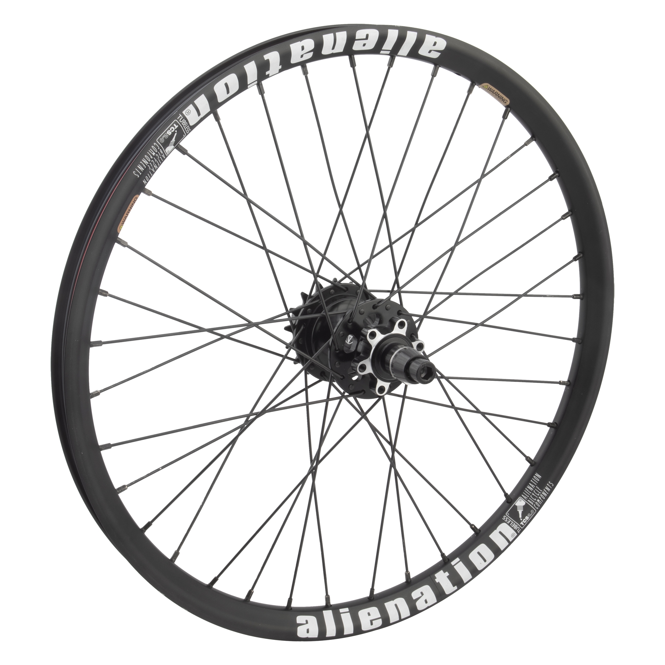 Fugazi Rear
